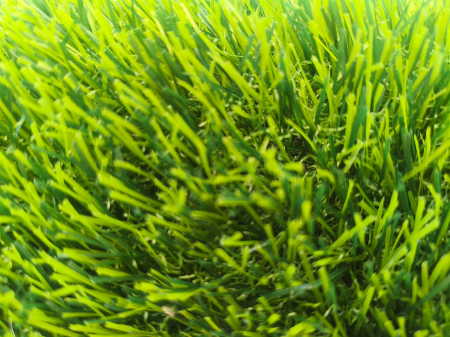 Pasto Sintético Realista Confort EVENTI 25mm