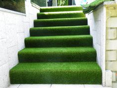 Pasto Sintético Alfombra 10mm